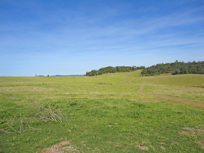 Tarzali QLD 4885