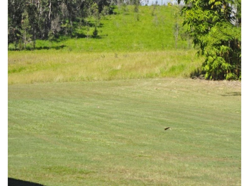 Upper Barron QLD 4883