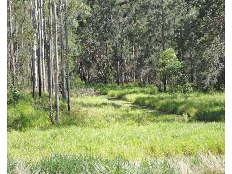 Upper Barron QLD 4883