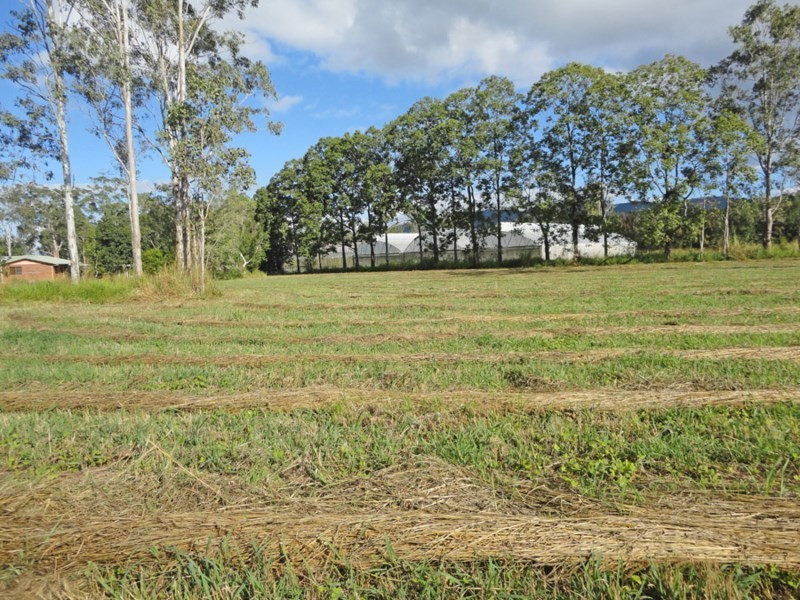 Carrington QLD 4883