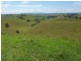 Millaa Millaa QLD 4886
