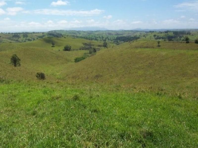 Millaa Millaa QLD 4886
