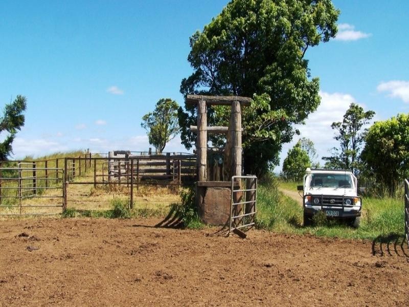 Millaa Millaa QLD 4886