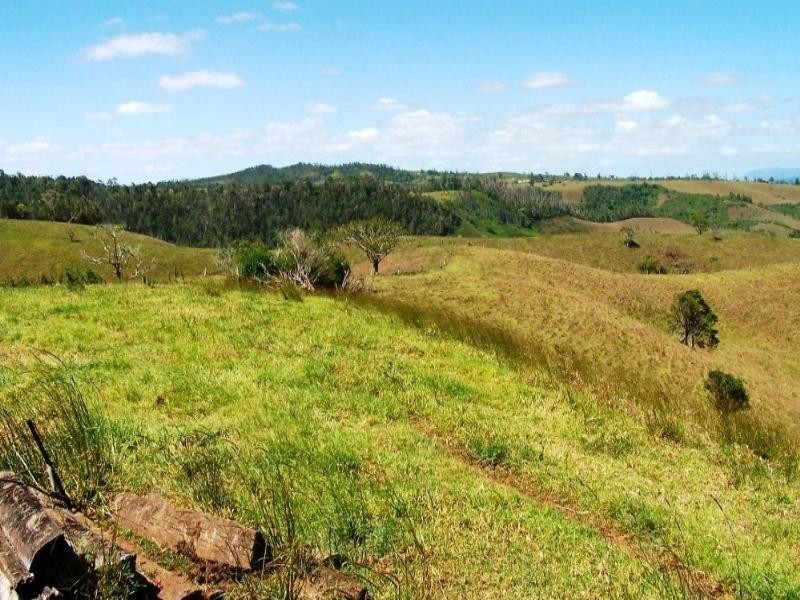 Millaa Millaa QLD 4886