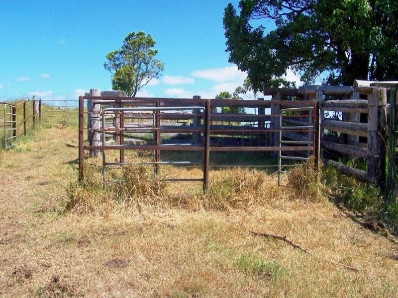 Millaa Millaa QLD 4886