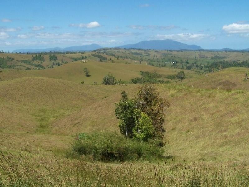 Millaa Millaa QLD 4886