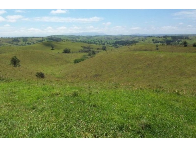 Millaa Millaa QLD 4886