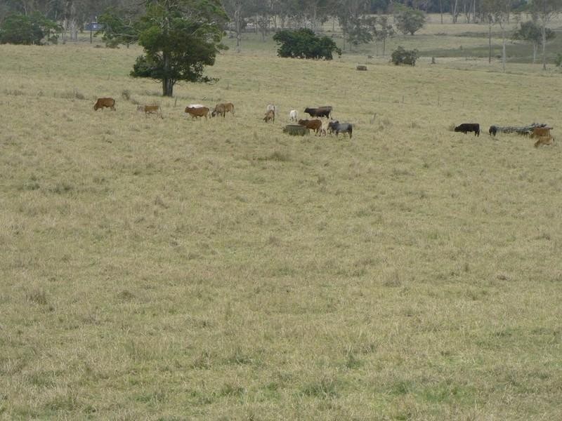 Upper Barron QLD 4883