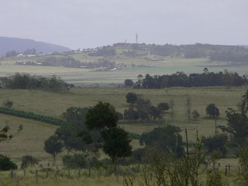 Upper Barron QLD 4883