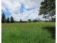 Millaa Millaa QLD 4886