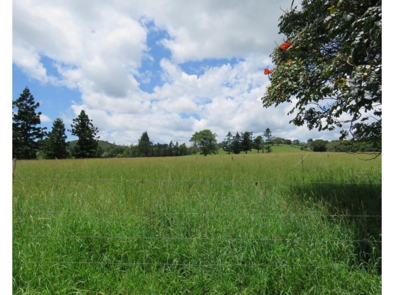 Millaa Millaa QLD 4886
