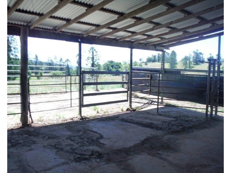 Millaa Millaa QLD 4886