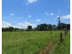 Millaa Millaa QLD 4886