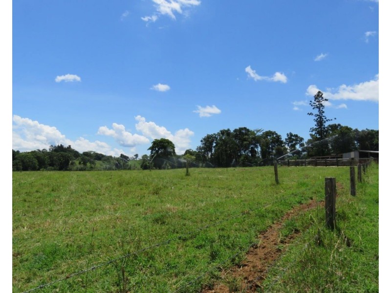 Millaa Millaa QLD 4886