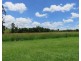 Millaa Millaa QLD 4886