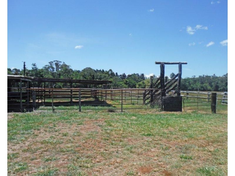 Millaa Millaa QLD 4886