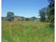 Millaa Millaa QLD 4886