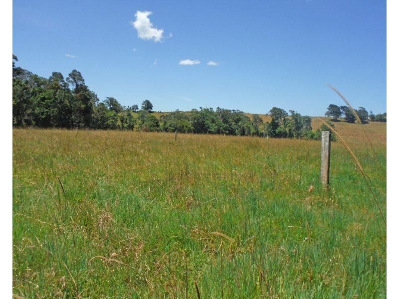 Millaa Millaa QLD 4886