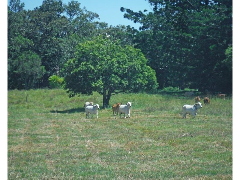 Millaa Millaa QLD 4886