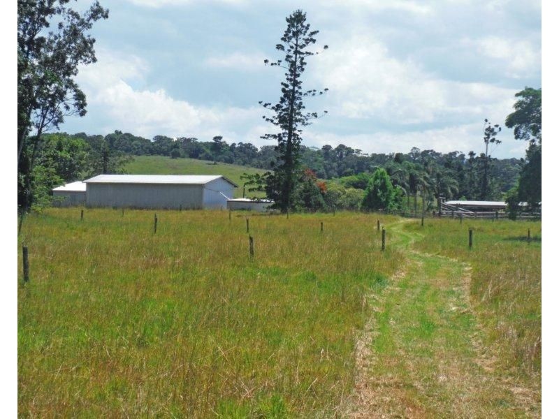 Millaa Millaa QLD 4886