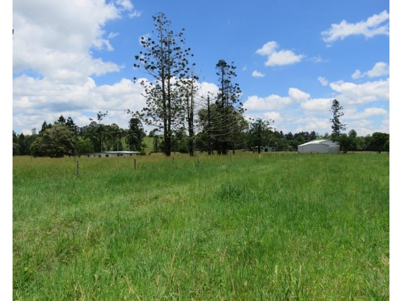 Millaa Millaa QLD 4886