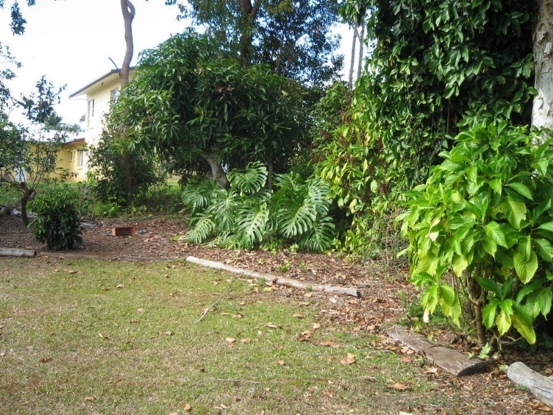 Yungaburra QLD 4884