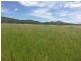 Mutchilba QLD 4872