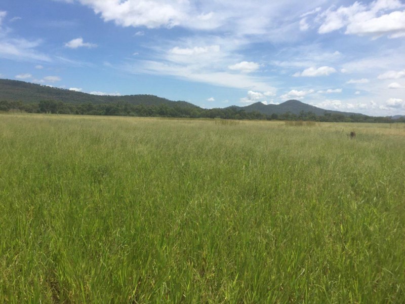 Mutchilba QLD 4872