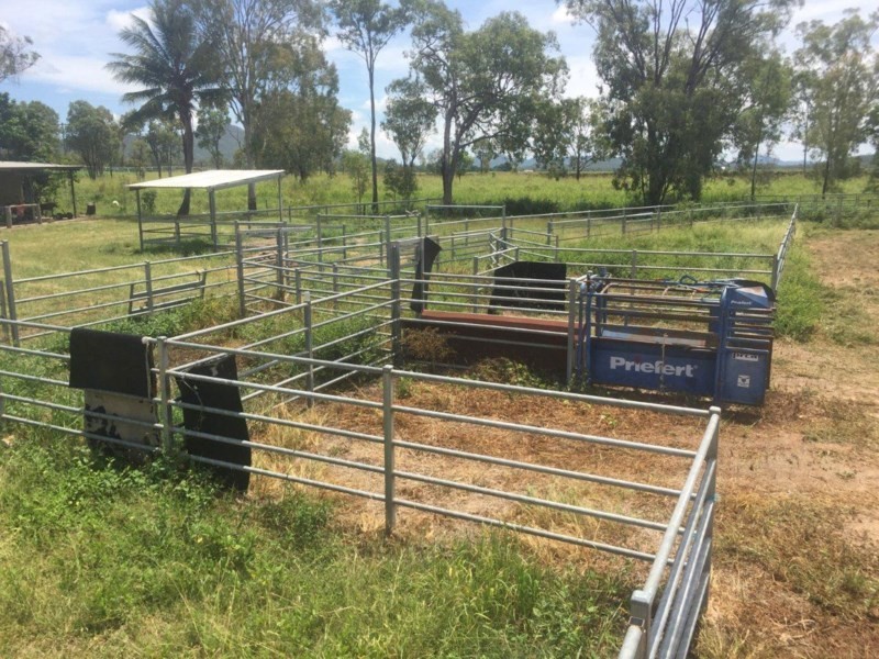 Mutchilba QLD 4872