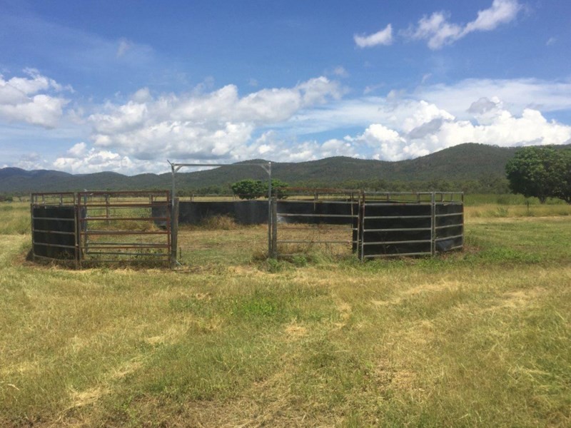 Mutchilba QLD 4872