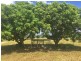 Mutchilba QLD 4872