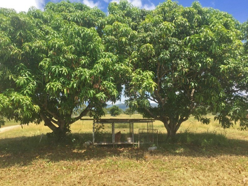 Mutchilba QLD 4872