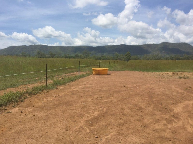 Mutchilba QLD 4872