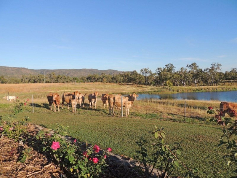 Walkamin QLD 4872