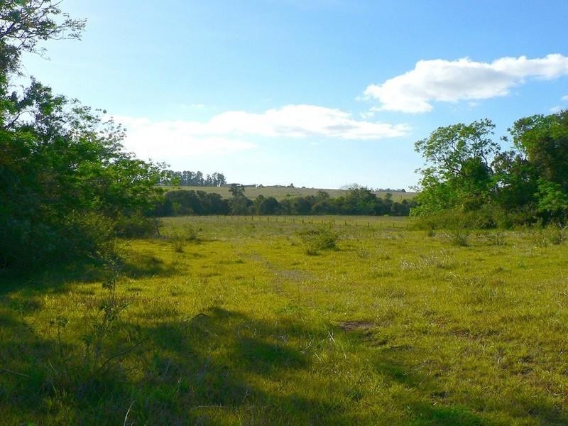 East Barron QLD 4883