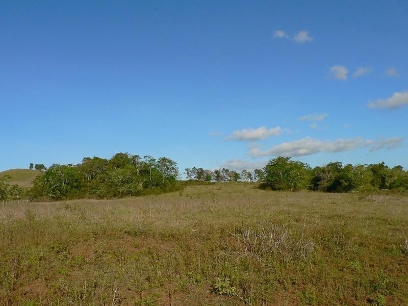 East Barron QLD 4883