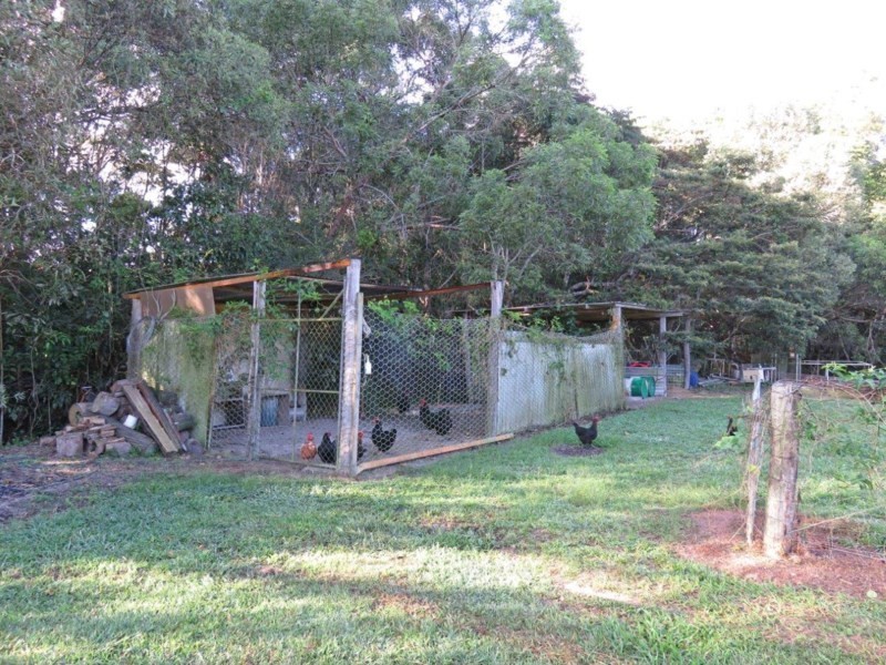 Lake Eacham QLD 4884