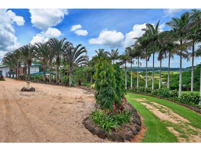 Yungaburra QLD 4884
