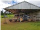 Yungaburra QLD 4884