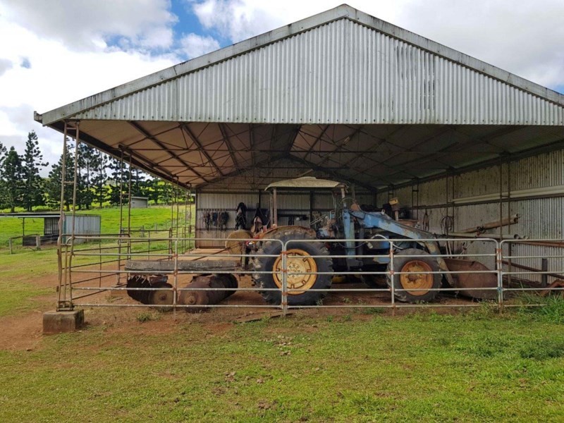 Yungaburra QLD 4884