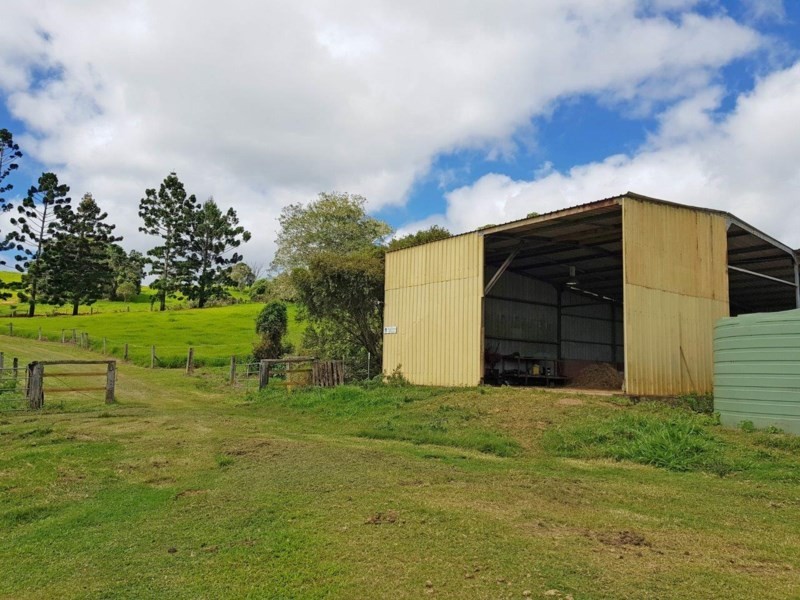 Yungaburra QLD 4884