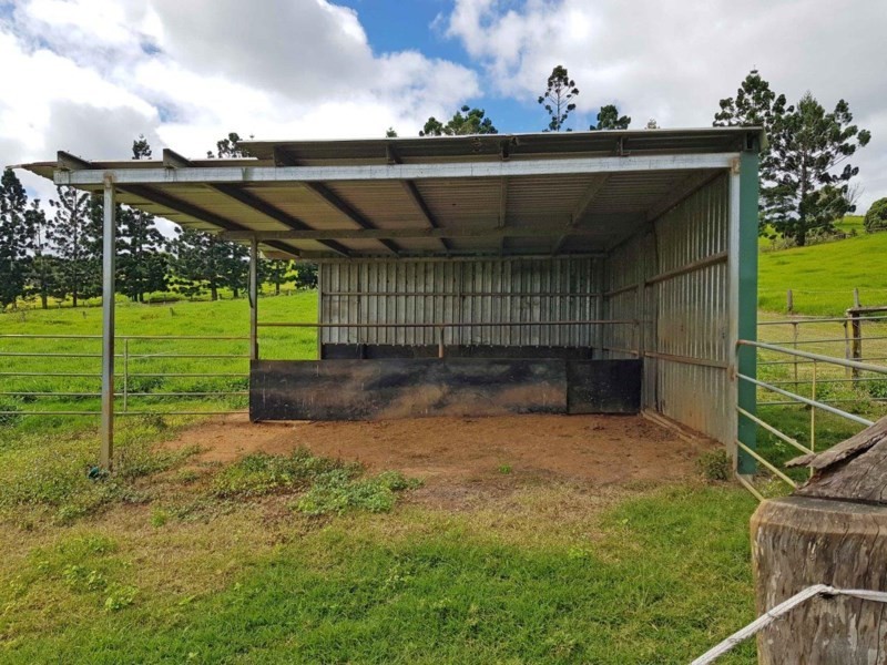 Yungaburra QLD 4884