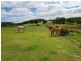 Yungaburra QLD 4884