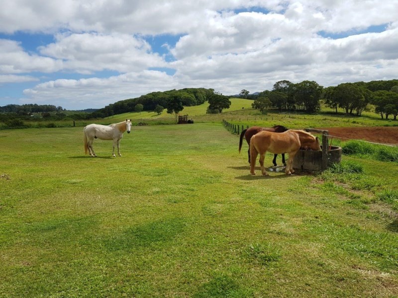 Yungaburra QLD 4884