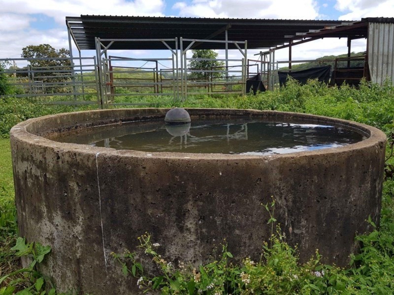 Yungaburra QLD 4884
