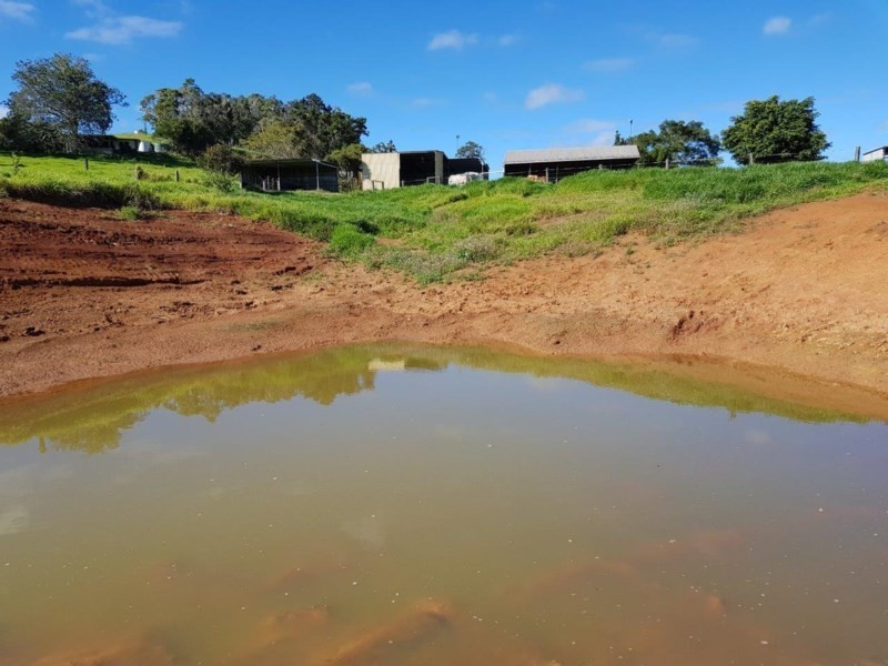 Yungaburra QLD 4884