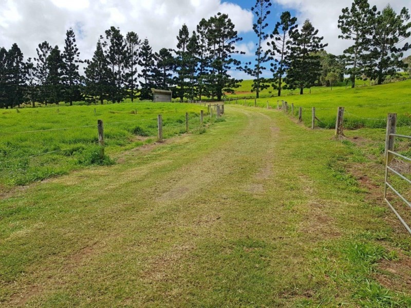 Yungaburra QLD 4884