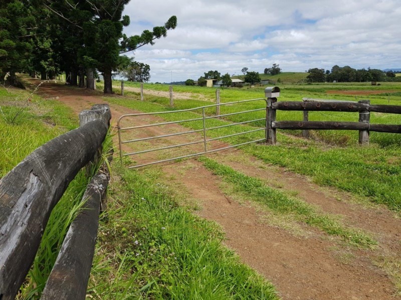 Yungaburra QLD 4884