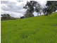 Yungaburra QLD 4884
