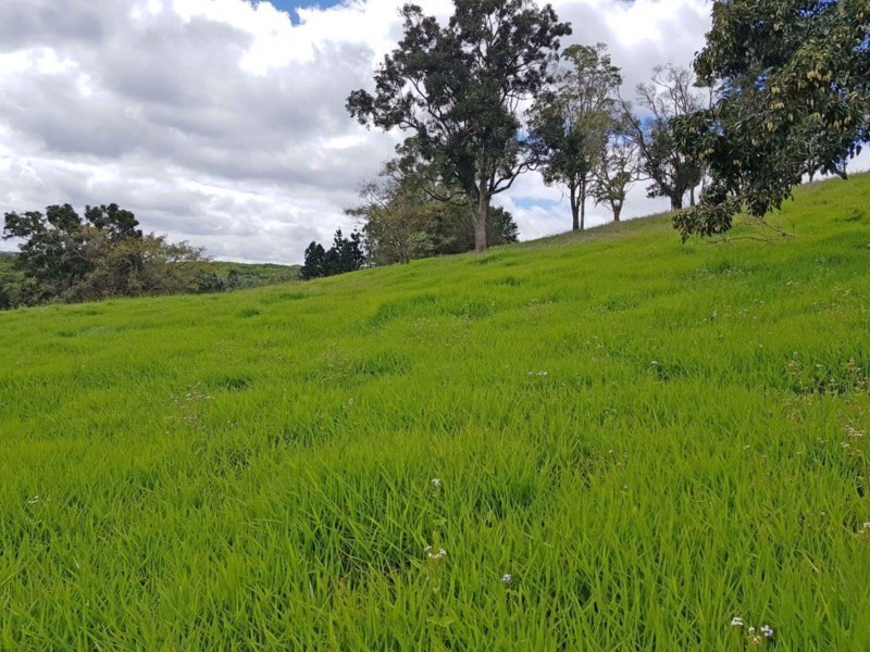 Yungaburra QLD 4884